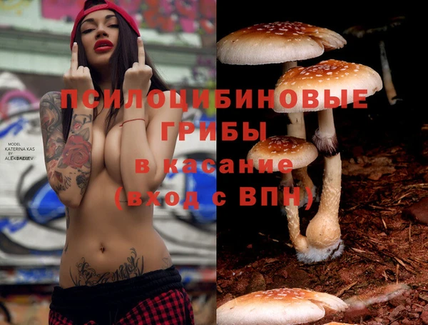 соль курить ск Алексеевка