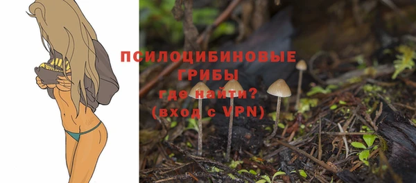 тгк Алексин