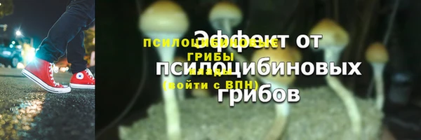 прущие крисы Алзамай