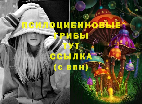 соль курить ск Алексеевка