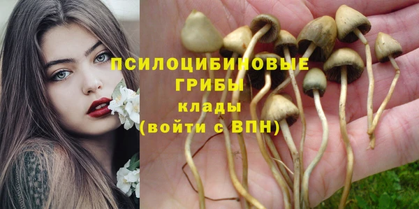 тгк Алексин