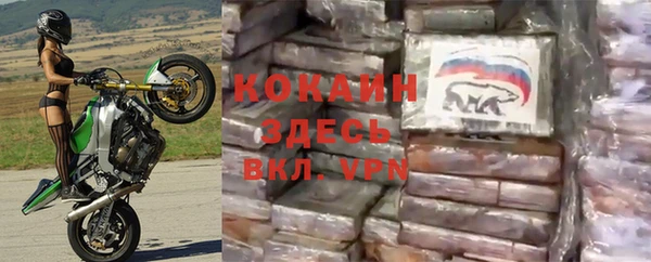 гидра Пестово