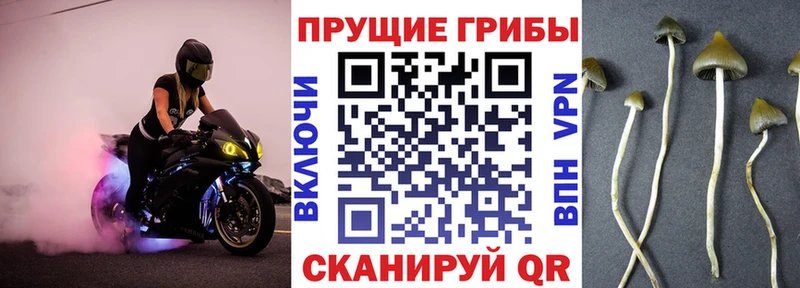 Галлюциногенные грибы Magic Shrooms  Бирюч 